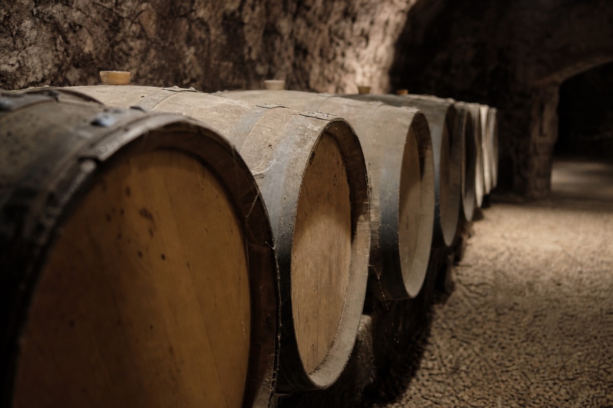 A troglodyte tuffeau cellar cut into the Loire's limestone