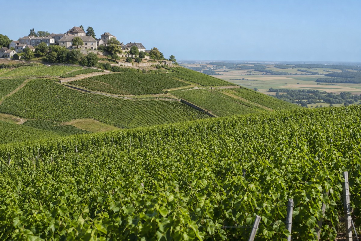The hilltop village and vineyards of Sancerre