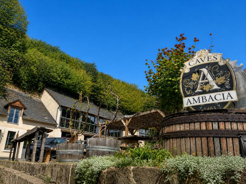 Amboise Caves Ambacia Tour with Wine Tasting