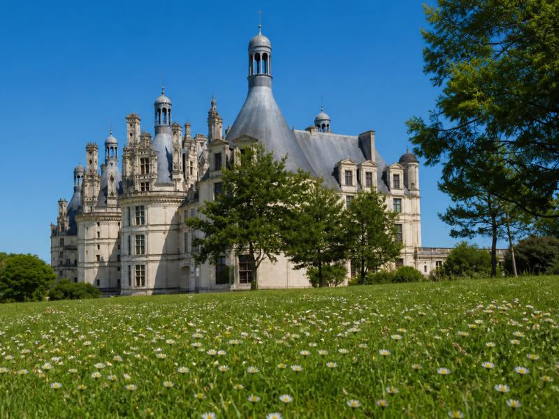 From Paris: Loire Valley Castles & Wine Tasting Day Trip